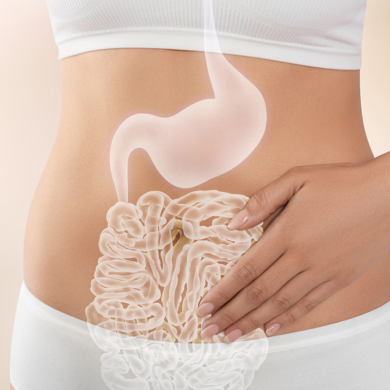 Gastrointestinal Sağlık Dondurularak Kurutulmuş Ürünler için Alüminyum Folyo Azot Dolum Paketleme Makinesi